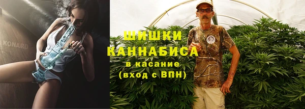 дживик Абаза